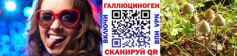 кракен сайт  Бийск  Галлюциногенные грибы прущие грибы  даркнет сайт 