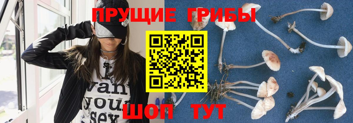 Бийск  Галлюциногенные грибы Magic Shrooms  Вход с VPN 